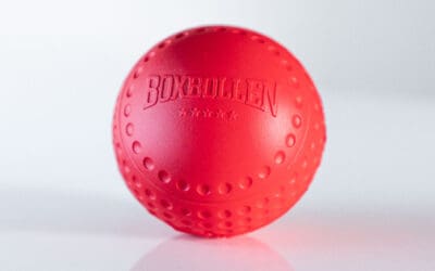 Boxbollen Original Review: A Boxing Reflex Ball Must-Have