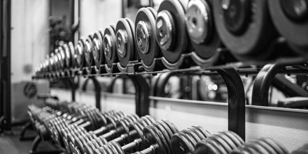 Equipment Options for Weight Training